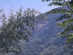 -长沙黑麋峰国家森林公园