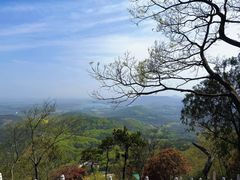 -句容茅山景区