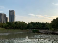 -南翔镇银翔湖公园