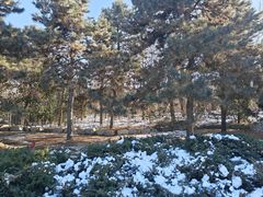 -秦始皇帝陵博物院-丽山园