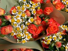 -循礼门鲜花花市(武汉循礼门店)