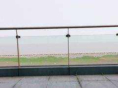 -南汇嘴观海公园