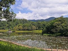 -国恩寺