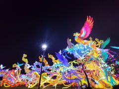 -厦门园林博览苑