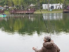 -新江湾城公园