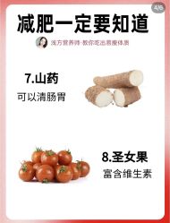 -Fundi张玉珊修身堂·indiba·BTL科技瘦身