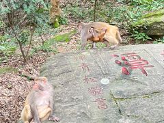 -庐山风景名胜区-黄龙潭