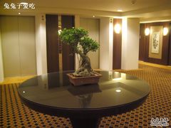 盆景-上海波特曼丽思卡尔顿酒店