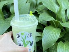 -奈雪的茶(百盛店)
