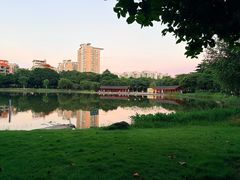 -映月湖公园