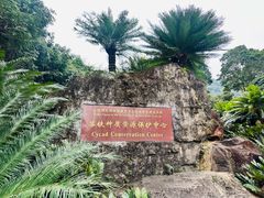 -深圳仙湖植物园