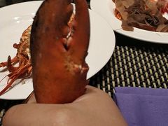 -武汉武昌威斯汀酒店-知味自助餐厅