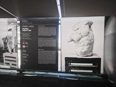 -米兰马尔彭萨国际机场