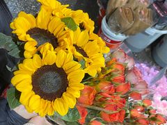 -循礼门鲜花花市(武汉循礼门店)