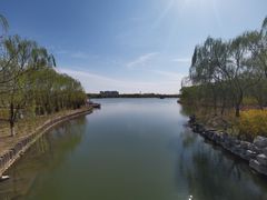 -大兴滨河森林公园