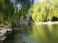 -阿尔丁植物园