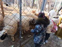 -长白岛森林公园