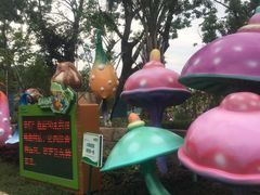 -苏州乐园森林水世界