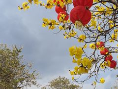 -洲头咀公园