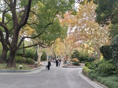 -中山公园