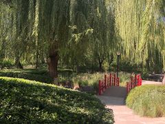 -玲珑塔公园