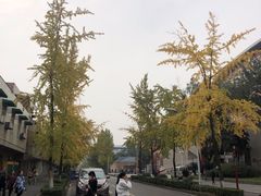 -四川大学(望江校区)
