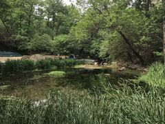 -白水寺森林公园
