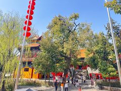 -宝通禅寺