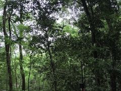 -九曜山