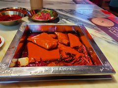 -月满大江千层肚火锅(锦城大道店)