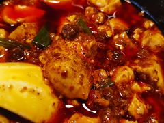 -陈麻婆豆腐总店