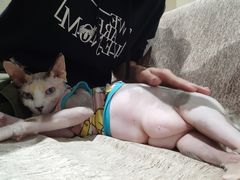 -藏猫猫咖啡主题馆(中央大道店)