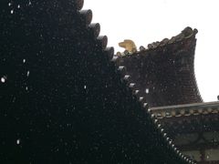 -新加坡佛牙寺龙华院