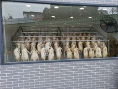-粥旺庄(芳村店)