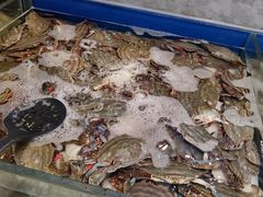 -川骄海鲜自助(河东店)