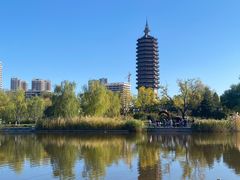 -西海子公园