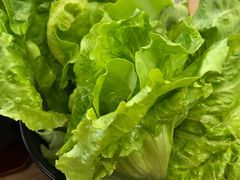 生菜-吉志烤肉(太原总店)