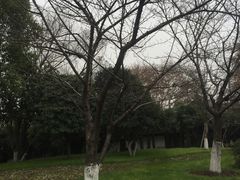 -堤角公园