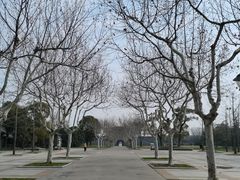 -东园小馆·早茶·淮扬小炒(宋夹城店)