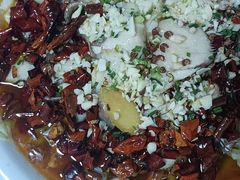 -柘林湖生态鱼馆