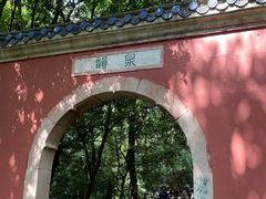 -灵谷景区