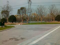 -长田漾湿地公园