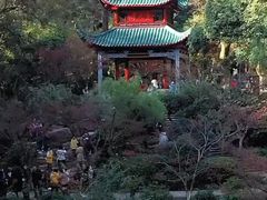 -岳麓山风景名胜区