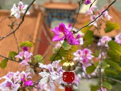 -南沙天后宫景区