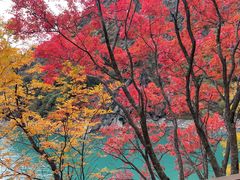 -叠溪松坪沟景区