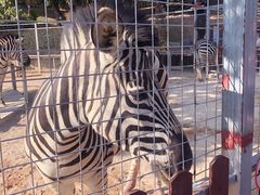 -泉州海丝野生动物世界