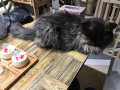 -小时光咖啡馆(开森度假森林店)