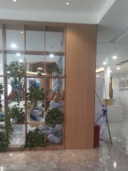 -碧莲盛·不剃发植发