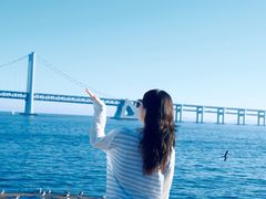 -星海湾跨海大桥
