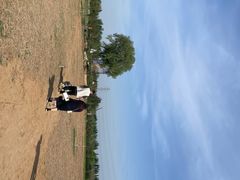 -君乐宝优致牧场